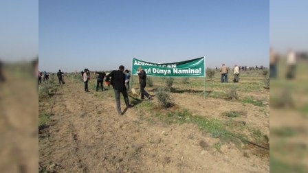 Nazirliyin 400 əməkdaşı iməcilik keçirib