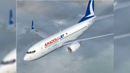 Ankaraya uçan təyyarəni partlatmaq istədilər