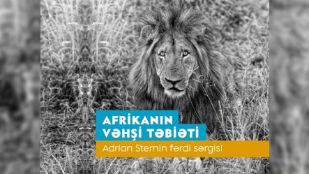 “Afrikanın vəhşi təbiəti” Heydər Əliyev Mərkəzində