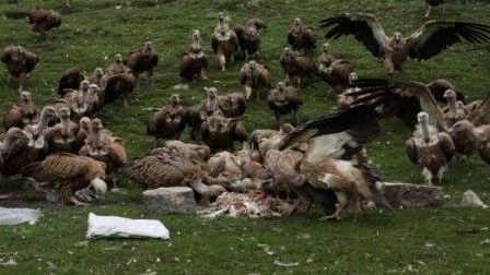 Dünyanın qəribə dəfn mərasimləri - ARAŞDIRMA