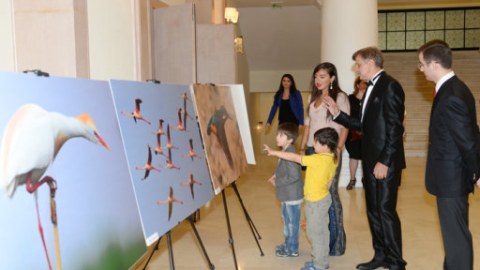 Leyla Əliyeva “Şirvan Milli Parkı” filminin təqdimatına gəlib - FOTOLAR