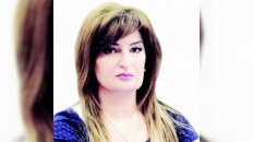 “Kulinariya haqqında” Qanun payızda qəbul oluna bilər