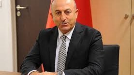  Türkiyəli nazir: “ İlham Əliyevin AŞPA-dakı nitqi Türkiyədə maraqla izləndi”