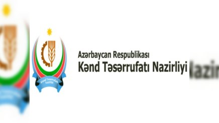 Kənd Təsərrüfatı Nazirliyi: “Pis hava şəraiti taxılın məhsuldarlığına mənfi təsir göstərib”