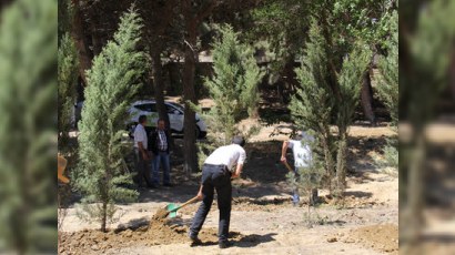 IDEA-nın təşəbbüsü ilə növbəti ağacəkmə aksiyası - FOTO