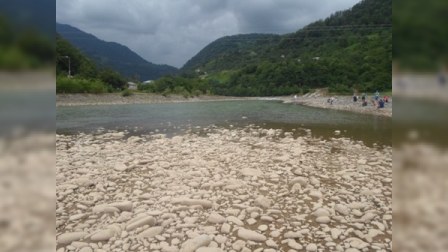 Gürcüstan, Qara Dəniz, Kabuleti, Batumi... ucuz istirahət – Reportaj