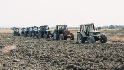 “Azərbaycanda yararlı torpaq qıtlığı mövcuddur” - Milli Məclisin ekspertindən XƏBƏRDARLIQ
