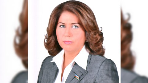 Bahar Muradova: “Sən iqtidarı tanımırsansa, seçkinin nəticələrini legitim hesab etmirsənsə...”
