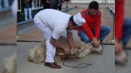 Baş redaktorlar: “Qurban kəsməyəcəyik”