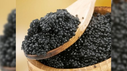 Ermənilər Qarabağda qara kürü yetişdirəcəklər