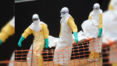 “Ebola” virusu 4555 nəfəri öldürüb