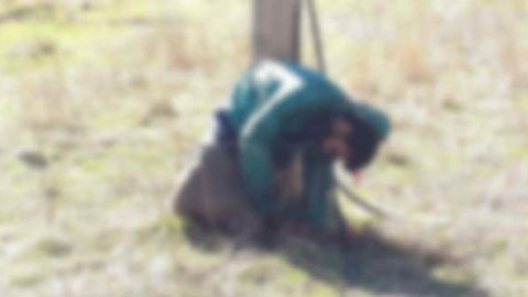 Türkiyədə PKK vəhşiliyi: Dirəyə bağlayıb güllələdilər 