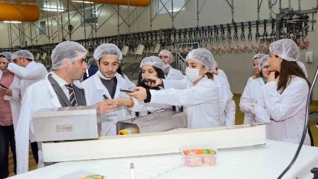Yüz dəfə eşit, bir dəfə gör - “Mərcan” toyuqlarının tərifi - REPORTAJ