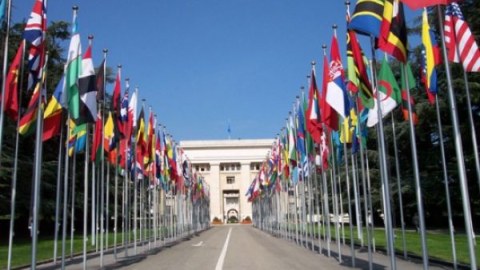 Hansı Azərbaycan diaspor təşkilatı yaxşı işləyir? - SORĞU