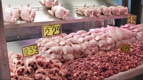 Supermarket toyuqları öldürür 
