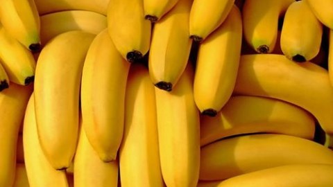 Azərbaycanda “Ebola” virusuna görə banana tələbat azalıb - Statistika Komitəsi təsdiqlədi