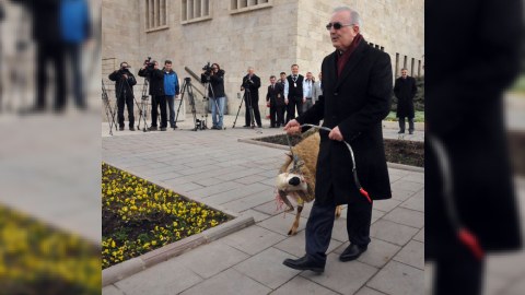 Deputat parlamentə qoç gətirdi: “Xalq bu iqtidarı qoç kimi yıxacaq” - FOTOLAR