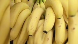 Azərbaycana hansı ölkələrdən banan gətirildiyi açıqlandı