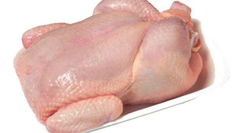 “Azərbaycandakı quşçuluq fabriklərinin çoxunda GMO komponentlər istifadə olunur” - SOS