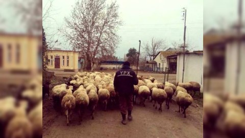Günün içindən şərhsiz FOTO
