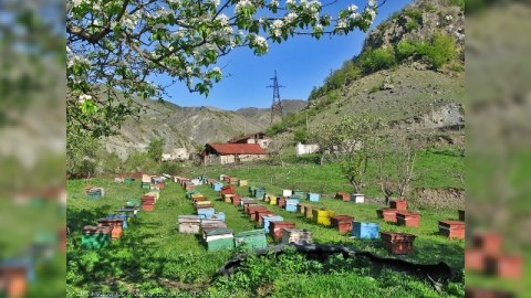 Kəlbəcərin işğalından 22 il ötür