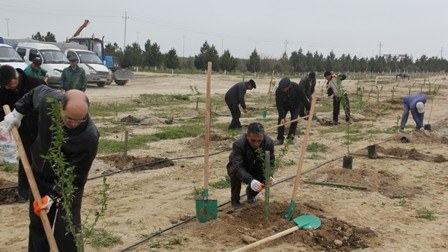 Nazir iməciliyə çıxdı - FOTO
