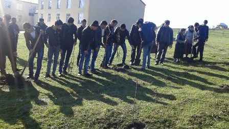 Deputat Gədəbəydə ağac əkdirib - FOTO