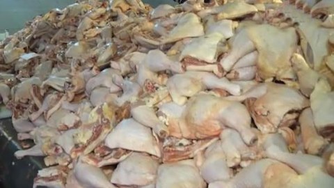 Bakıda qanunsuz quş əti sexi aşkarlandı 