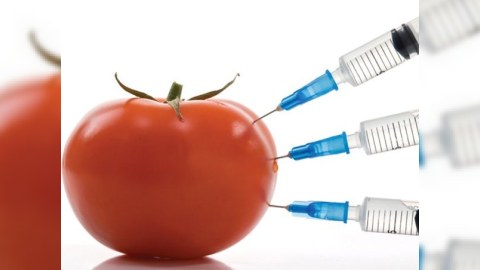 Dövlət Komitəsi Bakıda GMO məhsulların satışı ilə bağlı yoxlamaya başladı: “Ciddi ölçü götürüləcək”