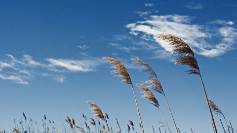 Sabahın hava PROQNOZU  - Külək kəsməyəcək