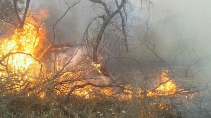 Fövqəladə Hallar Nazirliyi: Xızı meşələrində yanğın baş verib 