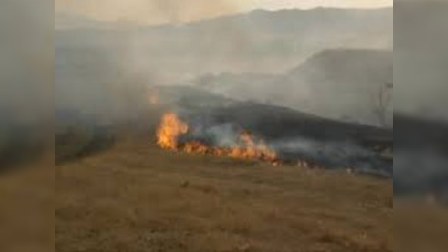 Biçənəkləri yandıranlar cəzalandırıldılar