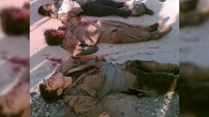 Türkiyədə 7 terrorçunun ölüsü tapıldı 