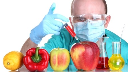 GMO məhsullar hansı xəstəliklərə səbəb olur?- AÇIQLAMA