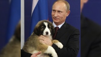 Putinin iti xüsusi təyyarədə uçub - İDDİA