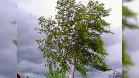 Temperatur enəcək, Bakıda güclü şimal küləyi əsəcək 