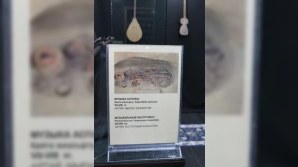 Jurnalist Beynəlxalq Türk Akademiyasının prezidenti ilə görüşüb - FOTO