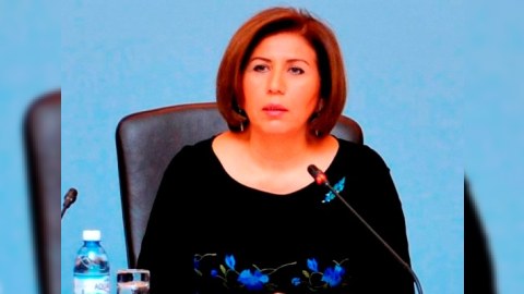“Milli Məclisin qərarı Avropa Parlamentinə göndərilib”