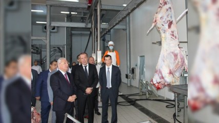 Heydər Əsədov ət kəsimi yerlərinə baxış keçirdi
