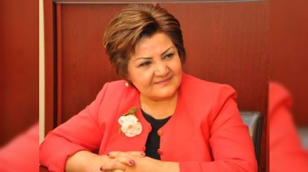 MSK Tənzilə Rüstəmxanlının namizədlik məsələsinə nöqtə qoydu - QƏRAR