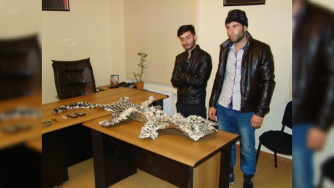 Azərbaycanda bəbir ovçusunu 9000 manat cərimələdilər