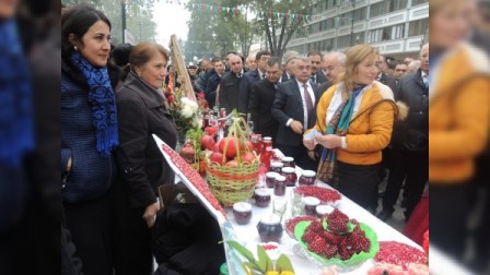  Nar bayramında 15 min insan iştirak edib 