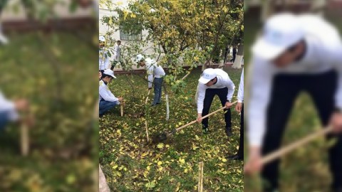 Sumqayıtda ağac əkmə aksiyası keçirildi - FOTOLAR