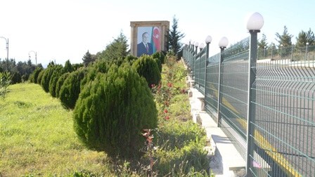 Lelya Əliyevanın təşəbbüsü ilə ağacəkmə kampaniyası davam edir