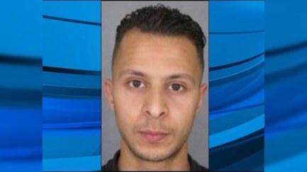 Paris terrorçularından ikisi Suriyada döyüşüb 