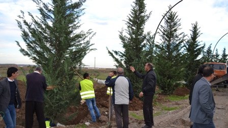 Horadizdə Gənclər prospektinin tikintisi davam edir
