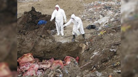 Mənşəyi məlum olmayan 5 ton ət zərərsizləşdirildi – FOTO 