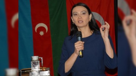  20 ildən artıqdır yüzminlərlə qadın öz evinə dönə bilmir  - Qənirə Paşayeva  