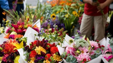 Bakıda gül satışı çökdü - Məşhur mağazalar iflas həddinə düşdü
