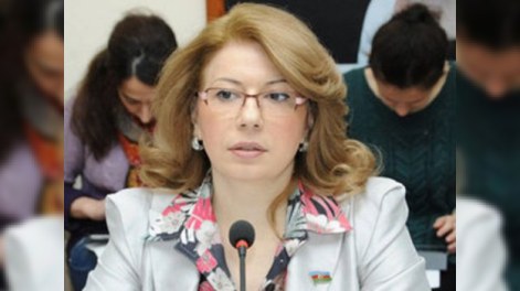 Spiker deputata hirsləndi: “Bilin ki, harada çıxış edirsiniz”